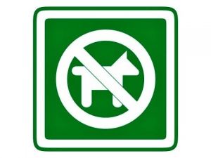 Piktogram Zákas vstupu psům zelený