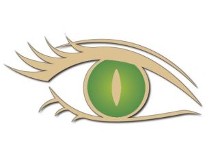 nástěnná dekorace orlí oko