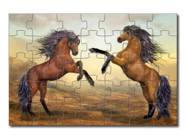 puzzle s koňmi - 35 dílků
