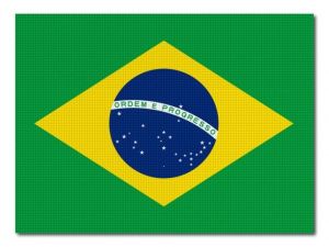 Tištěná brazilská vlajka