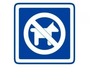 Piktogram Zákas vstupu psům modrý