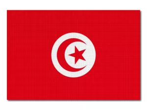 Tuniská vlajka tištěná
