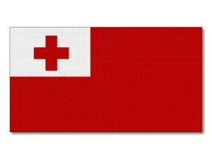 Vlajka Tongy tištěná