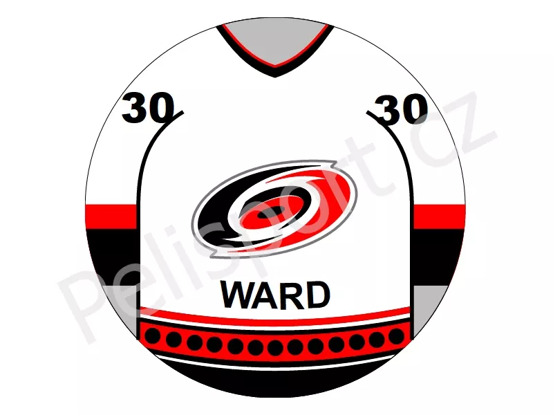 Carolina Hurricanes verze světlá