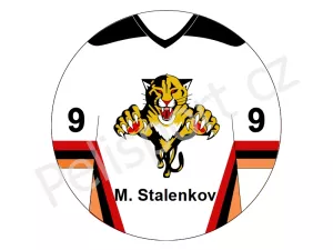 Florida Panthers verze 2 světlá
