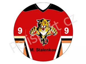 Florida Panthers verze 2 tmavá