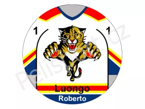 Florida Panthers verze 3 světlá