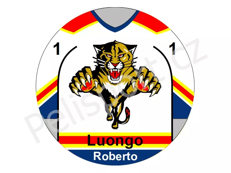 Florida Panthers verze 3 světlá