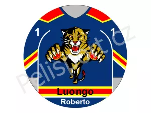 Florida Panthers verze 3 tmavá