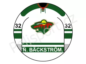 Minnesota Wild verze 2 světlá