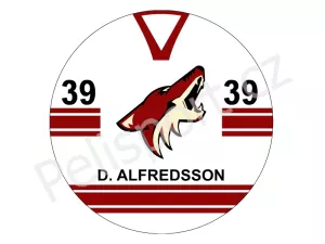 Potisk Phoenix Coyotes Phoenix Coyotes verze 1 světlá