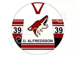 Potisk Phoenix Coyotes Phoenix Coyotes verze 2 světlá