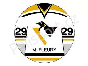 Pittsburgh Penguins verze 2 světlá