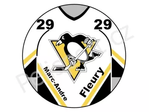 Pittsburgh Penguins verze 3 světlá