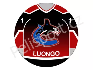 Vancouver Canucks verze alt