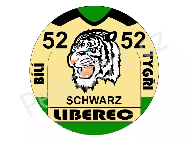 Liberec verze 2 světlá