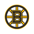 Potisk Boston Bruins | verze 2 - oranžová, verze 2 - světlá, verze 2 - tmavá, verze 1 - oranžová, verze 1 - světlá, verze 1 - tmavá